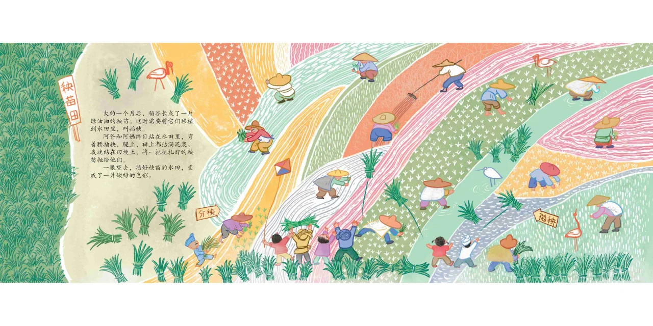 中国原创绘本《春泥稻花香》