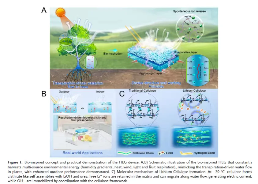 仿生吸湿-蒸发发电机多形态能量收集