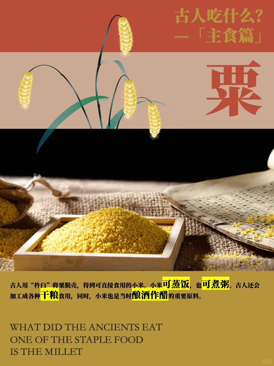 古人吃什么主食？粟、黍、麦、稻、菽！