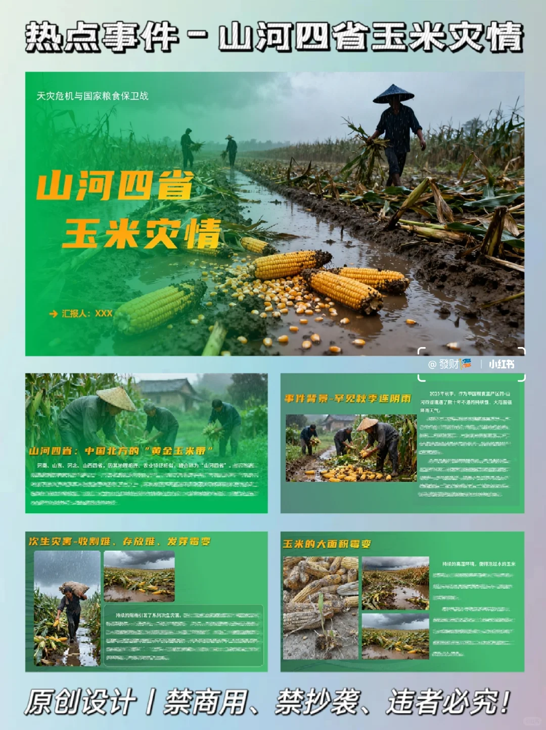 原创?【热点事件】山河四省玉米灾情PPT