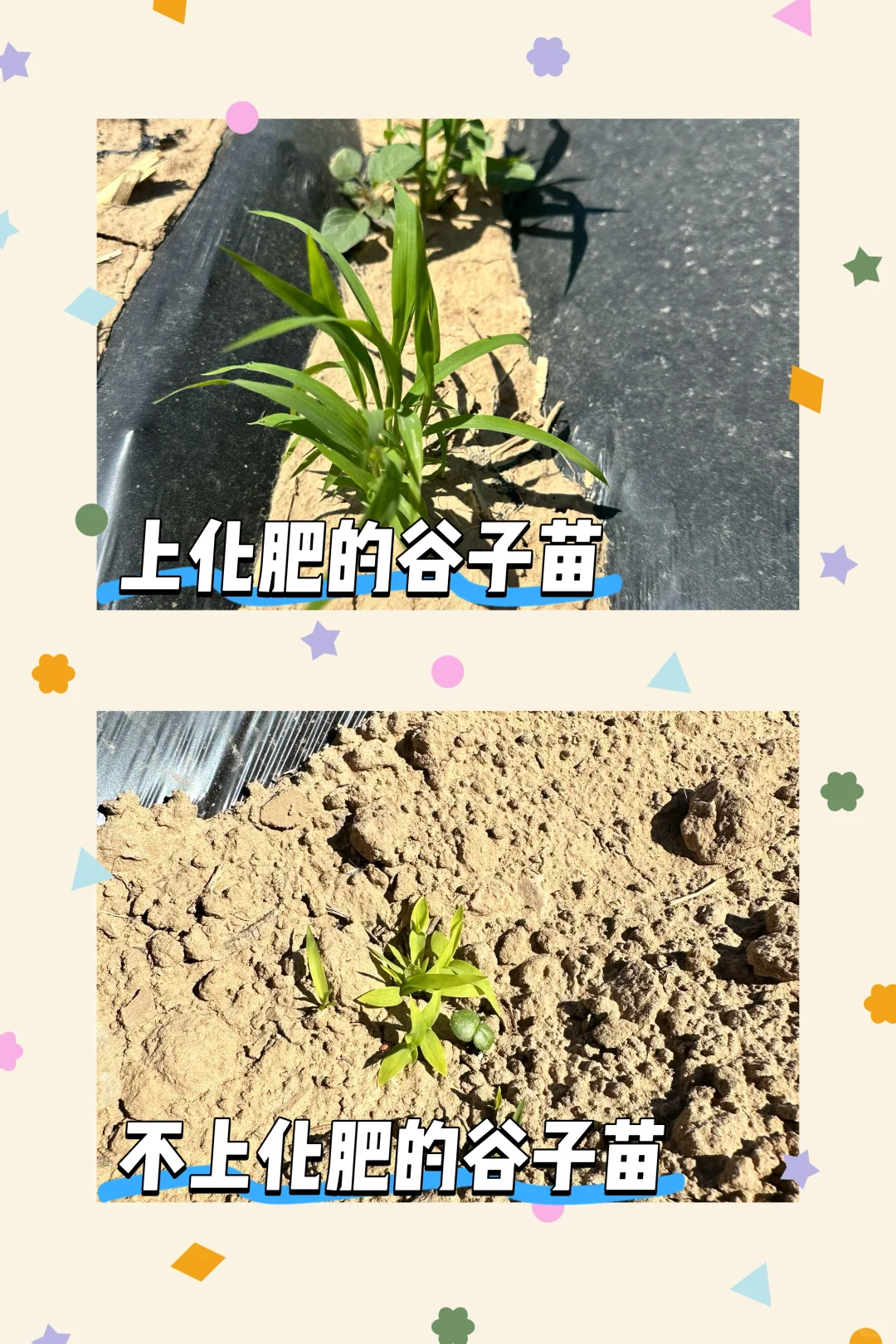 种地很累 但也很快乐?