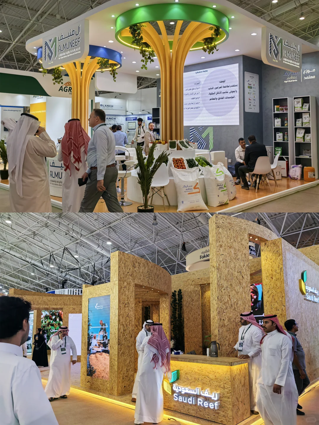 沙特农业展收官,中东粮仓的窗口正在敞开