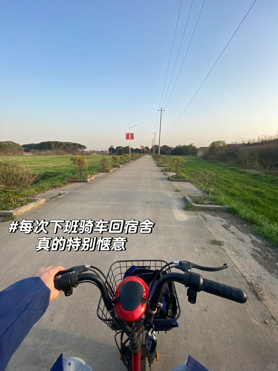 动医实习 | 动物医学女大学生鸽厂实习lv.1