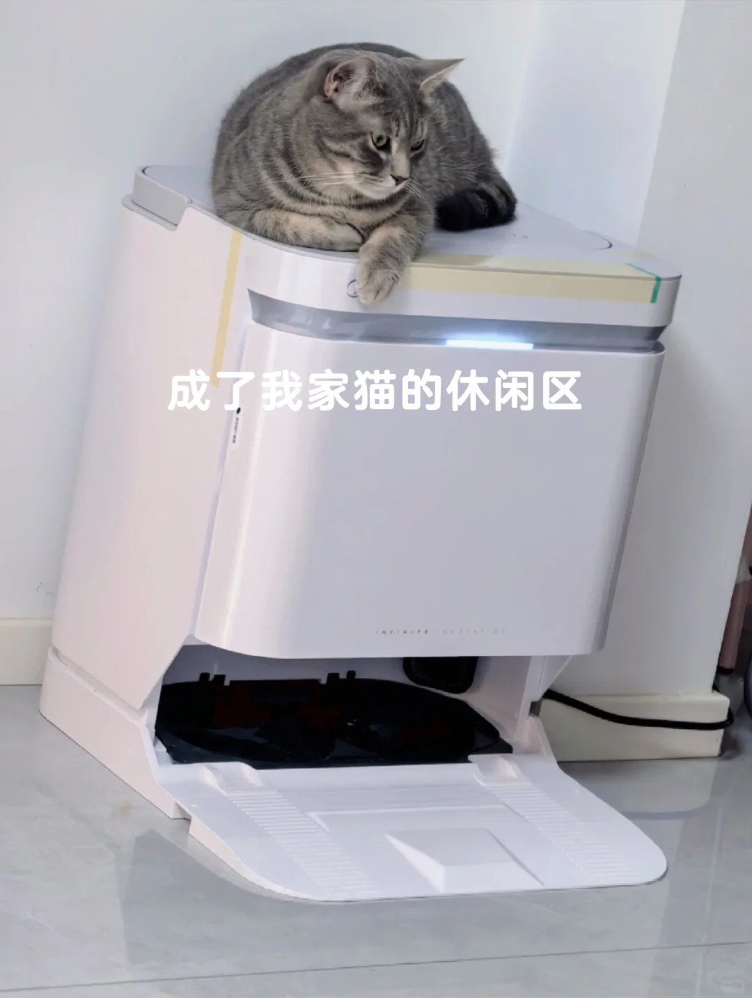 我要吹爆这几件让人幸福感爆棚的小家电！