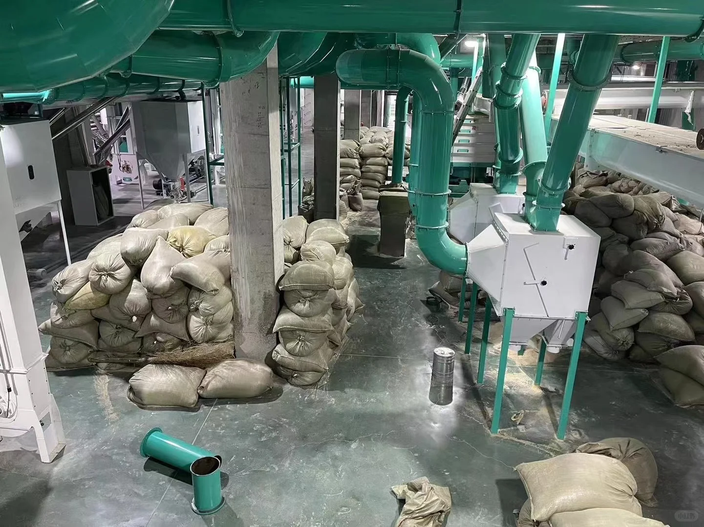 大米是怎么生产的,看了你还敢吃大米了吗?