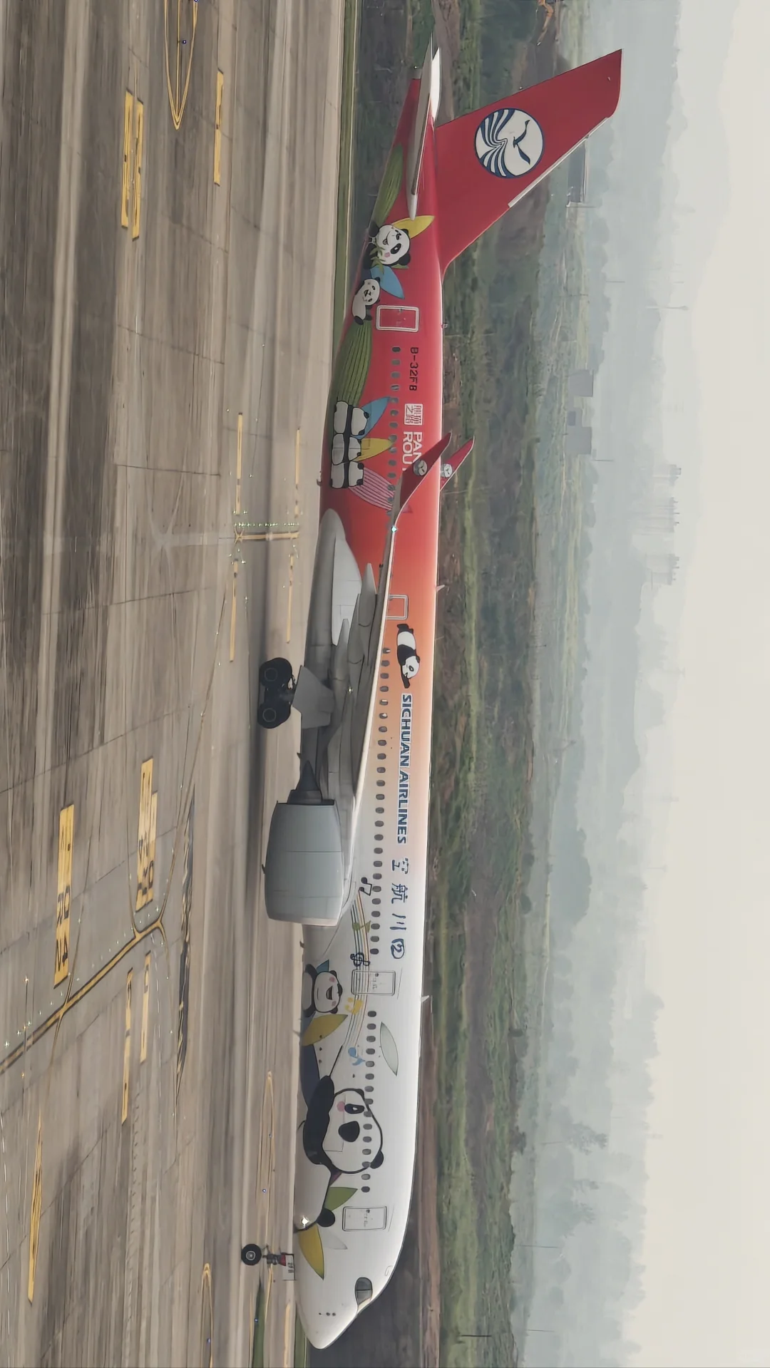 解锁禄口机场宽体机全部机型