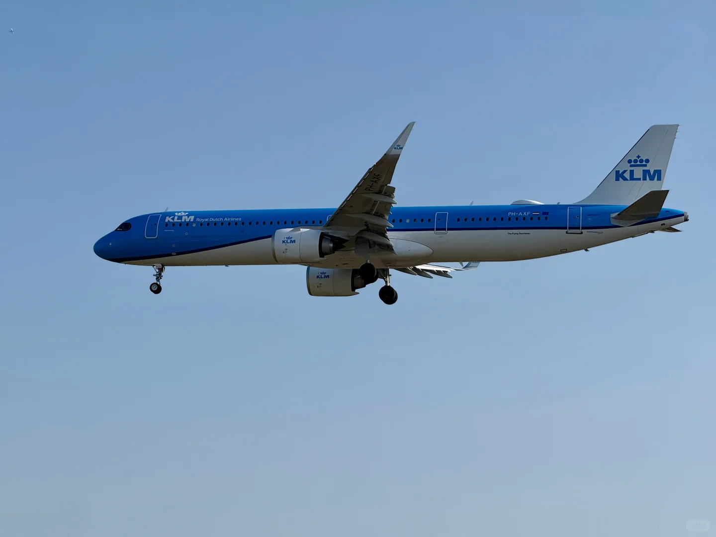 看到了，真飞机✈️✈️