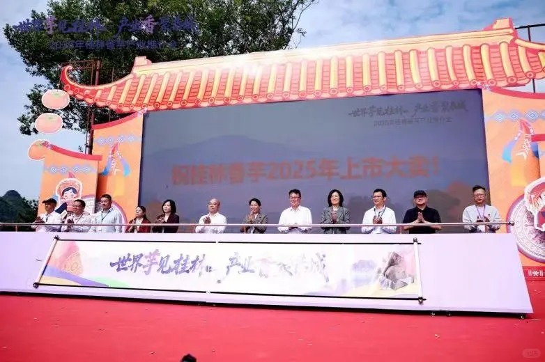 2025年桂林香芋产业推介会在恭城成功举办