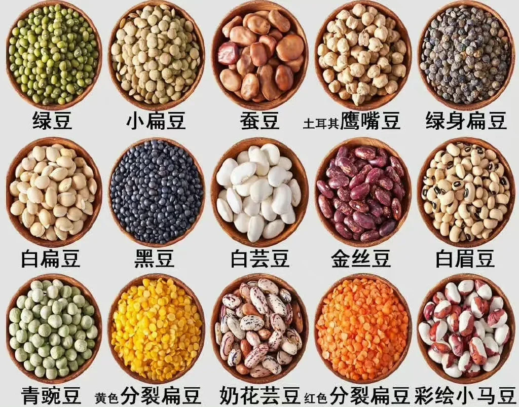 粗粮健康｜豆子家族?五谷杂粮｜有机农场