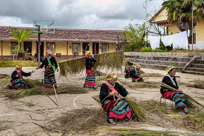 56个民族之佤族——齐心协力盖大房