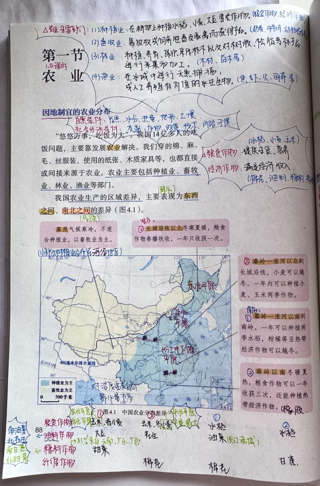 新人教版八上地理〔教材笔记〕4.1农业