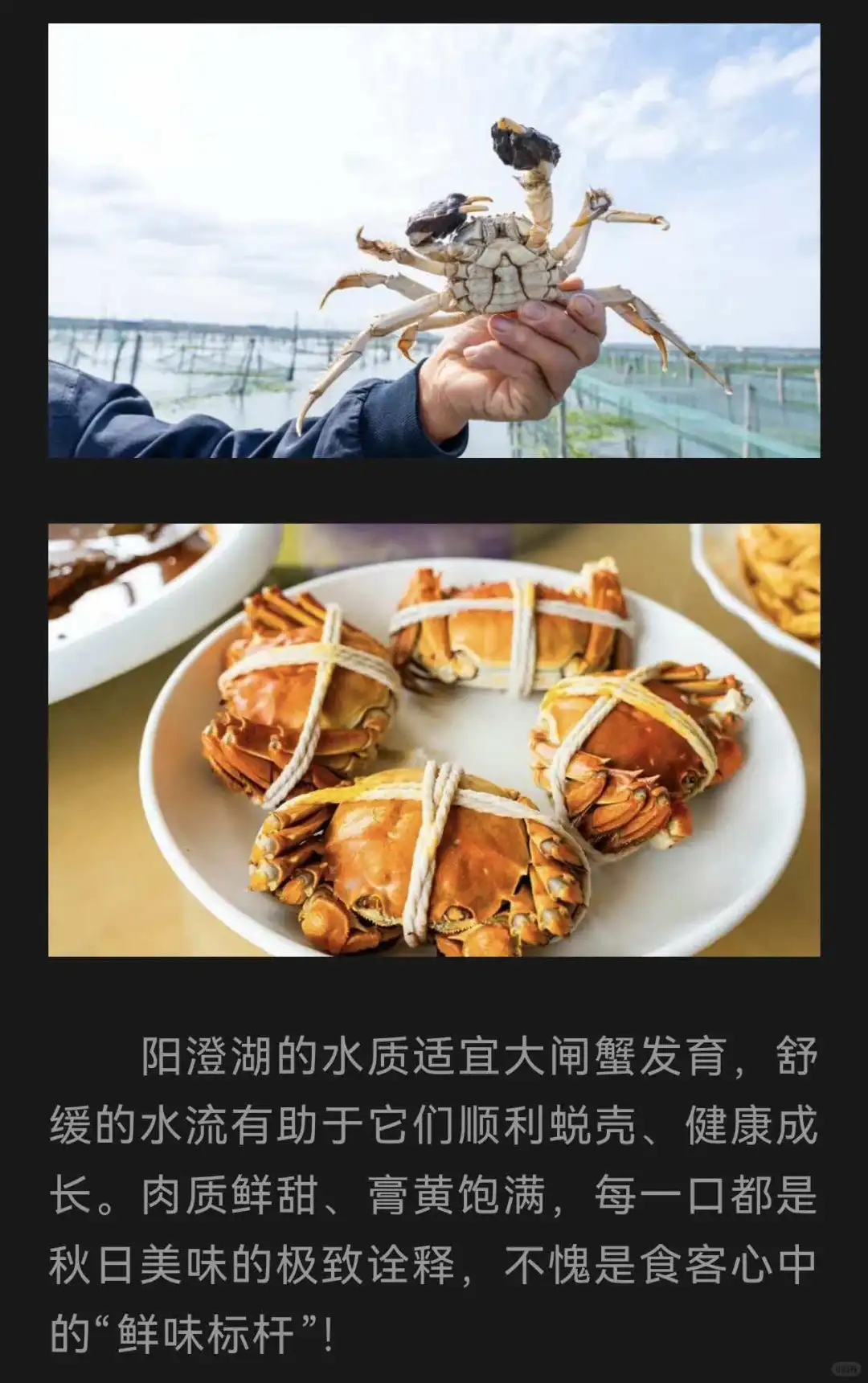 人民日报今日发文,大闸蟹上市的黄金时节