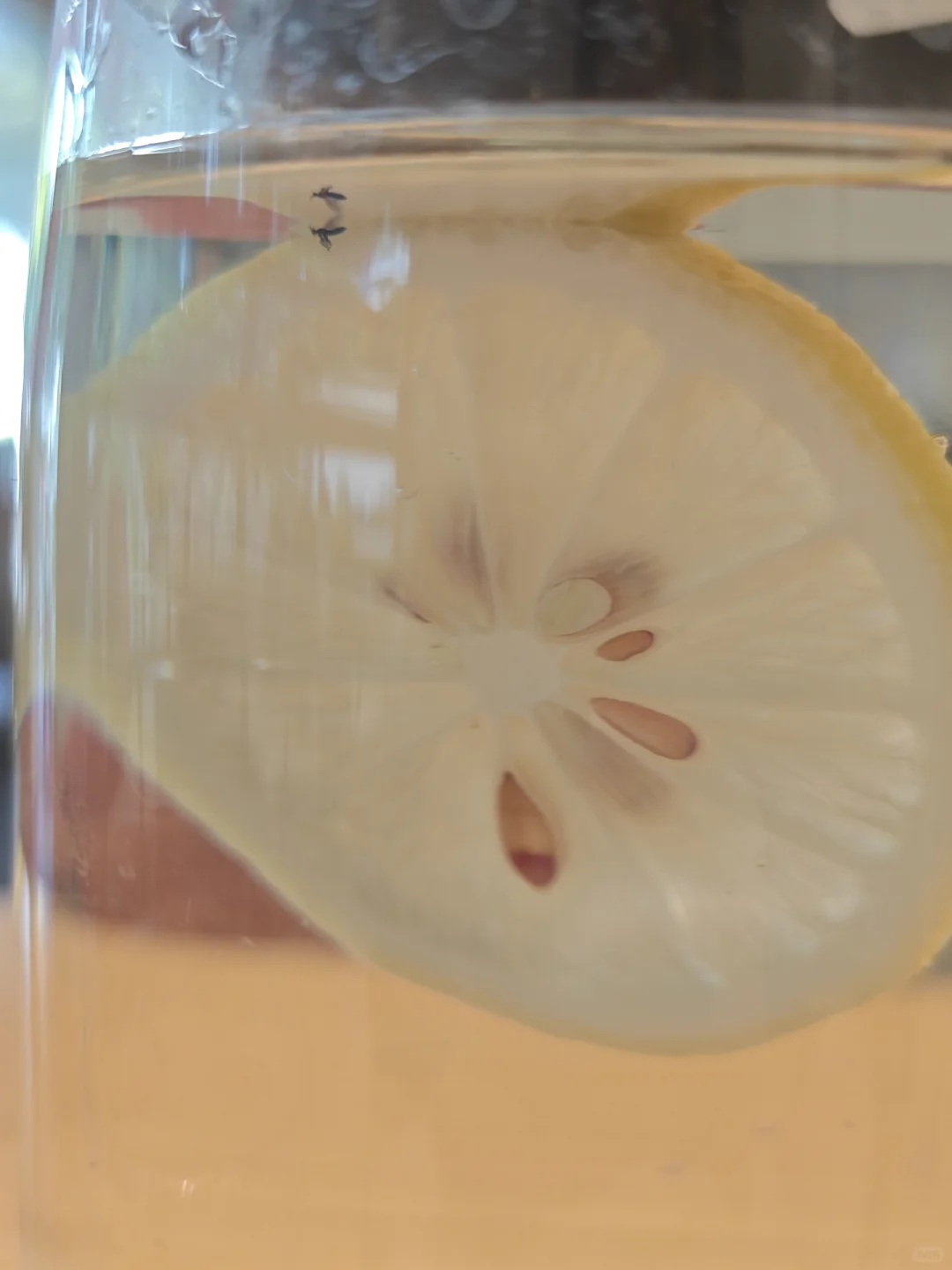 真心避雷 | 肇庆端州区简月厨Moon Chef