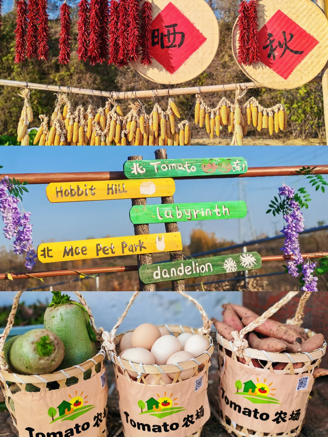 威海溜娃｜农场一日游｜冬日户外撒野