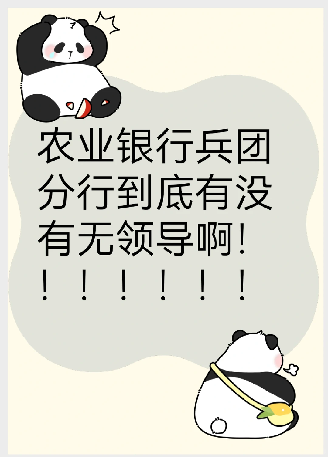 农业银行兵团分行面试?