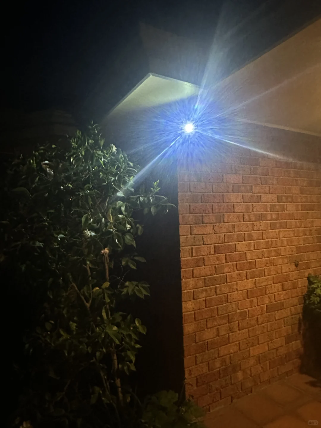 ?家庭版太阳能无线摄像头，黑五首次促销