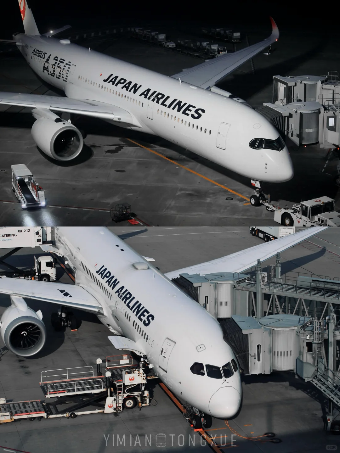 新世代主力A350 & B787