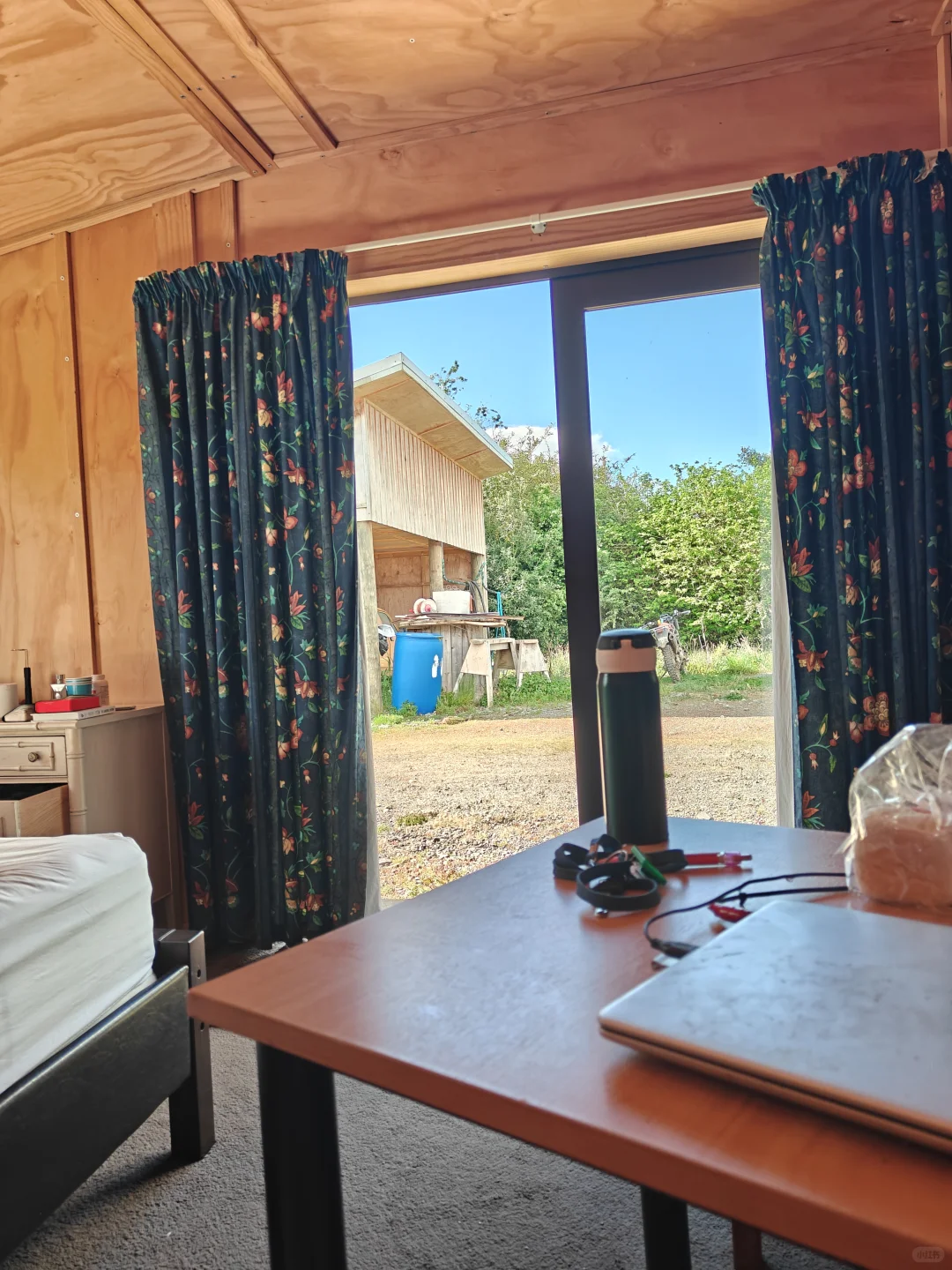 whv在新西兰放牛时薪27刀,一周50小时