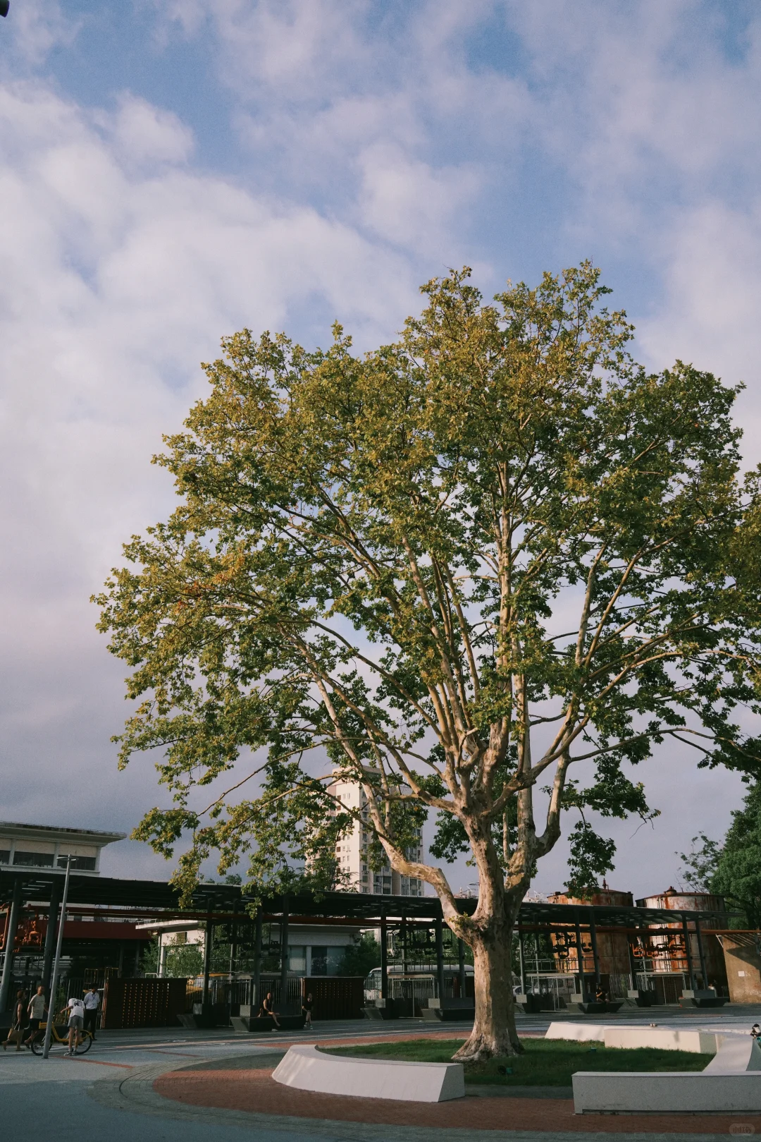 杨浦滨江硬核打卡点，藏着超酷工业往事