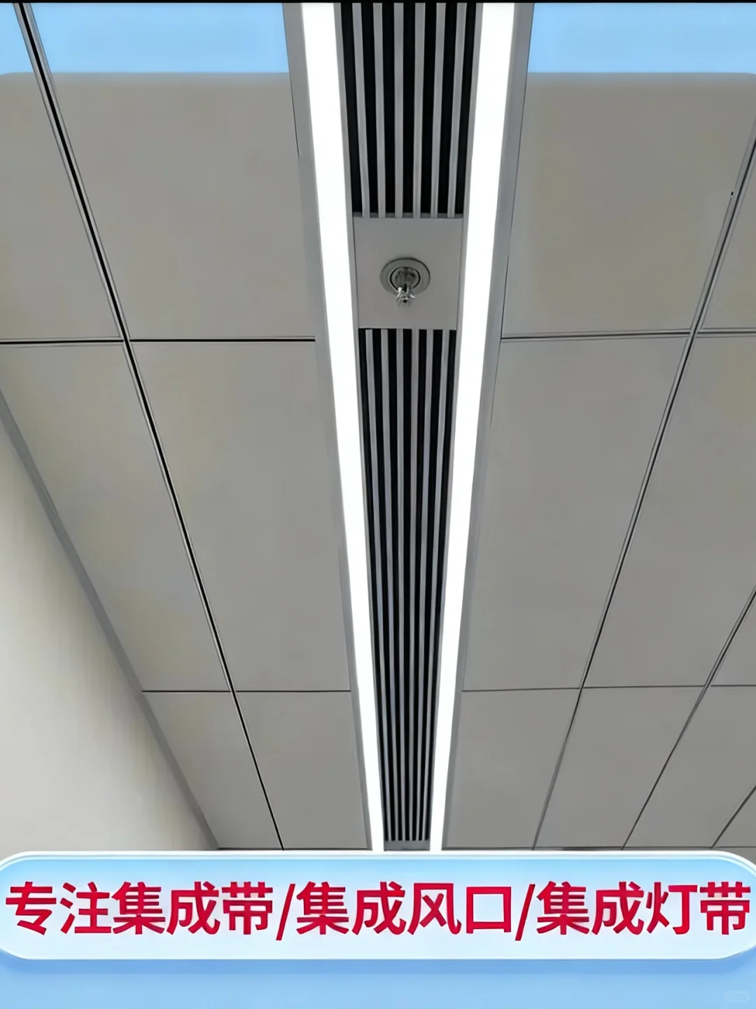 探秘漳州秋葵集成设备带风口，源头风口厂家