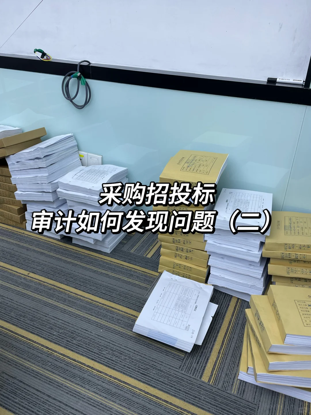 招标采购?审计如何查问题?