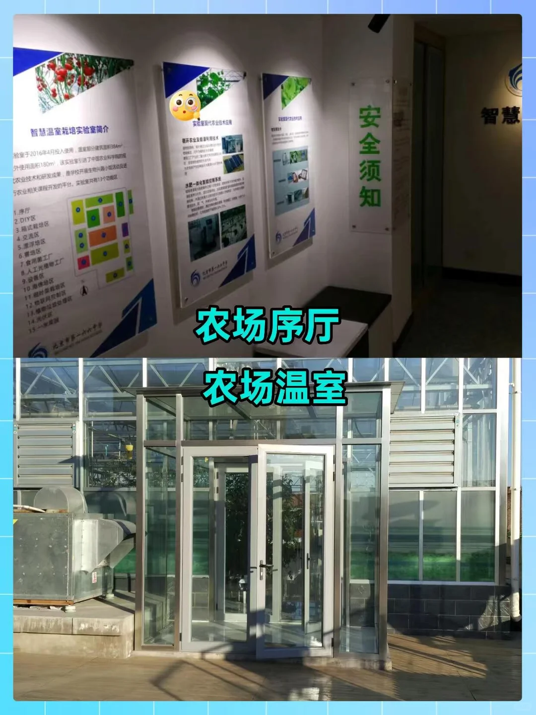 实验楼顶居然打造成了校园农场