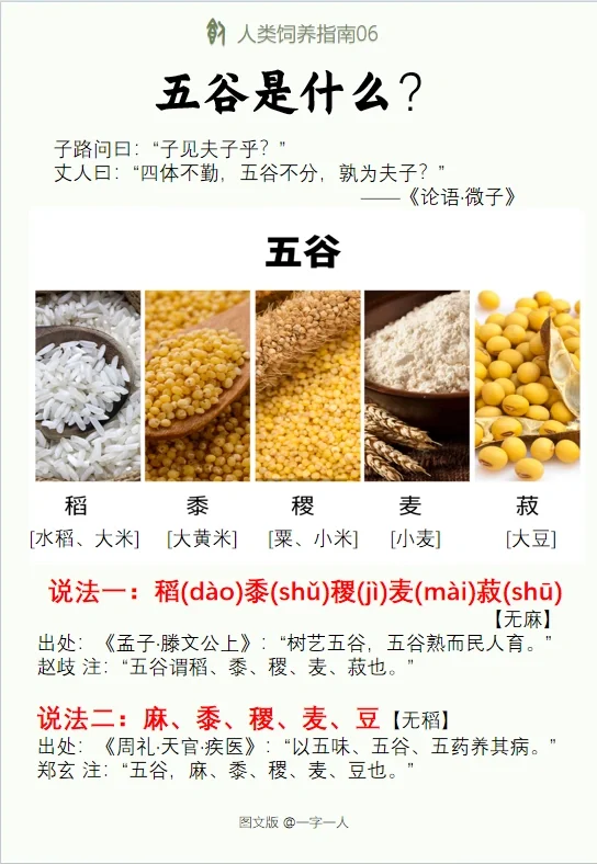 什么是五谷，中国人的基础常识