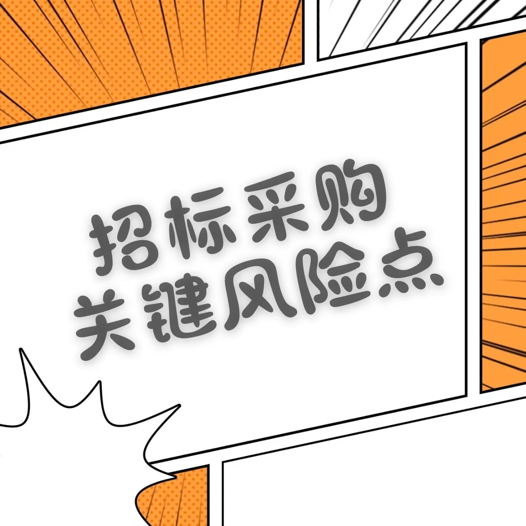 招标采购流程关键风险点识别与管控