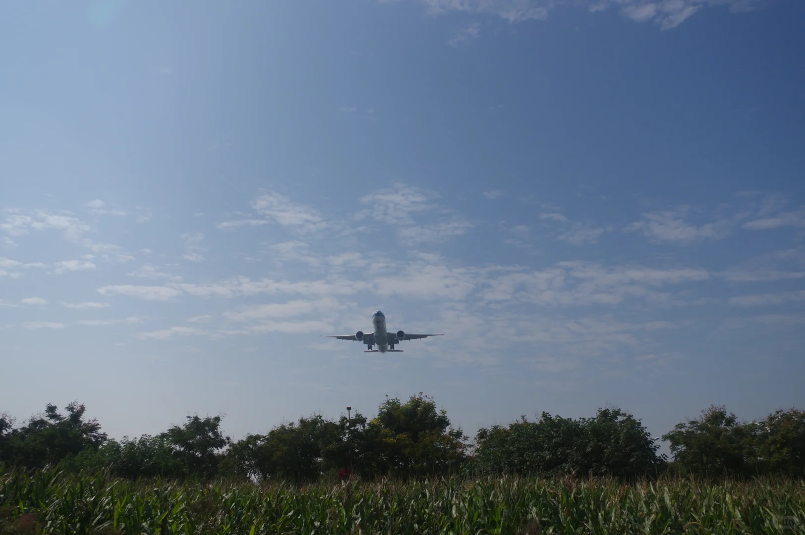 超宽体机降落确实带风