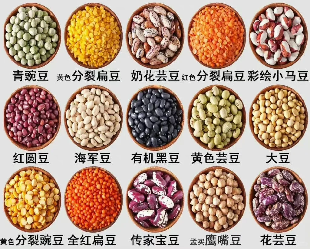 粗粮健康｜豆子家族?五谷杂粮｜有机农场