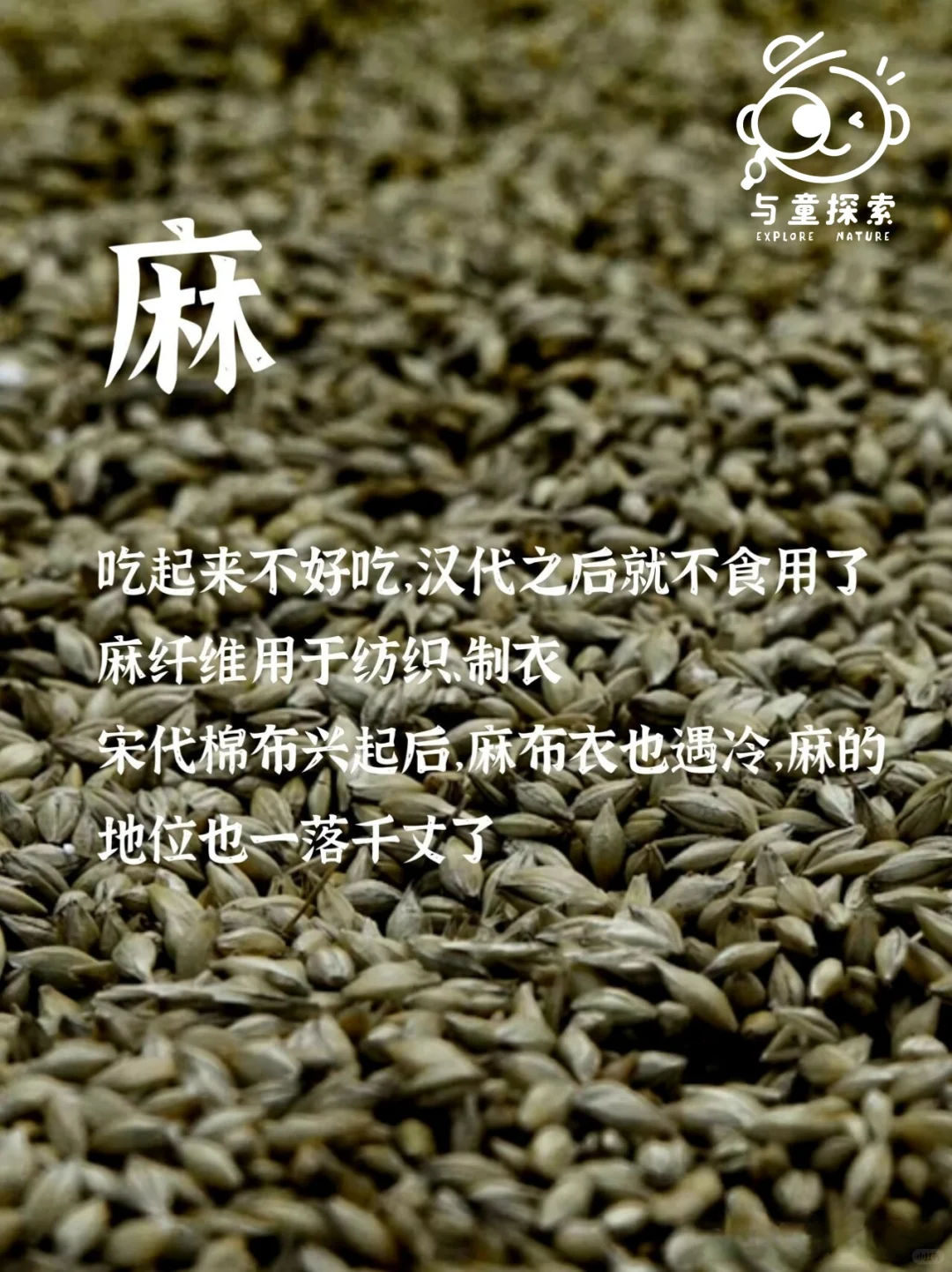 ??‍?小小农场主，大大成长旅！?‍??