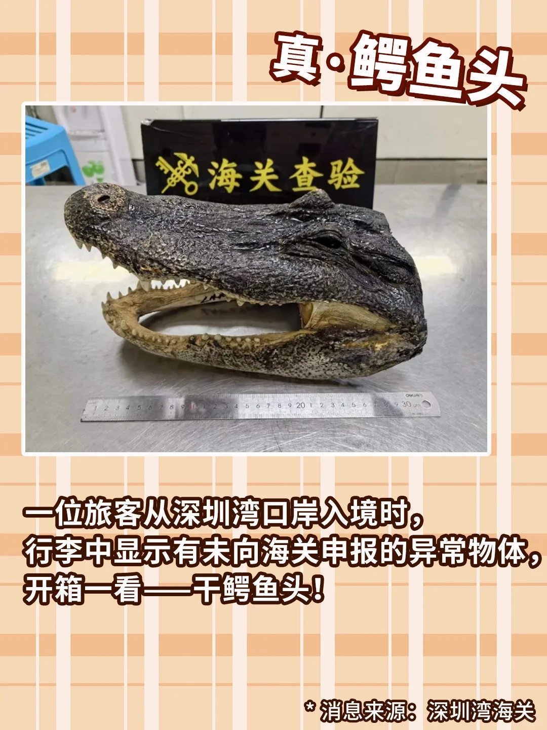 回国安检机：这还不算我扫出过的最离谱的