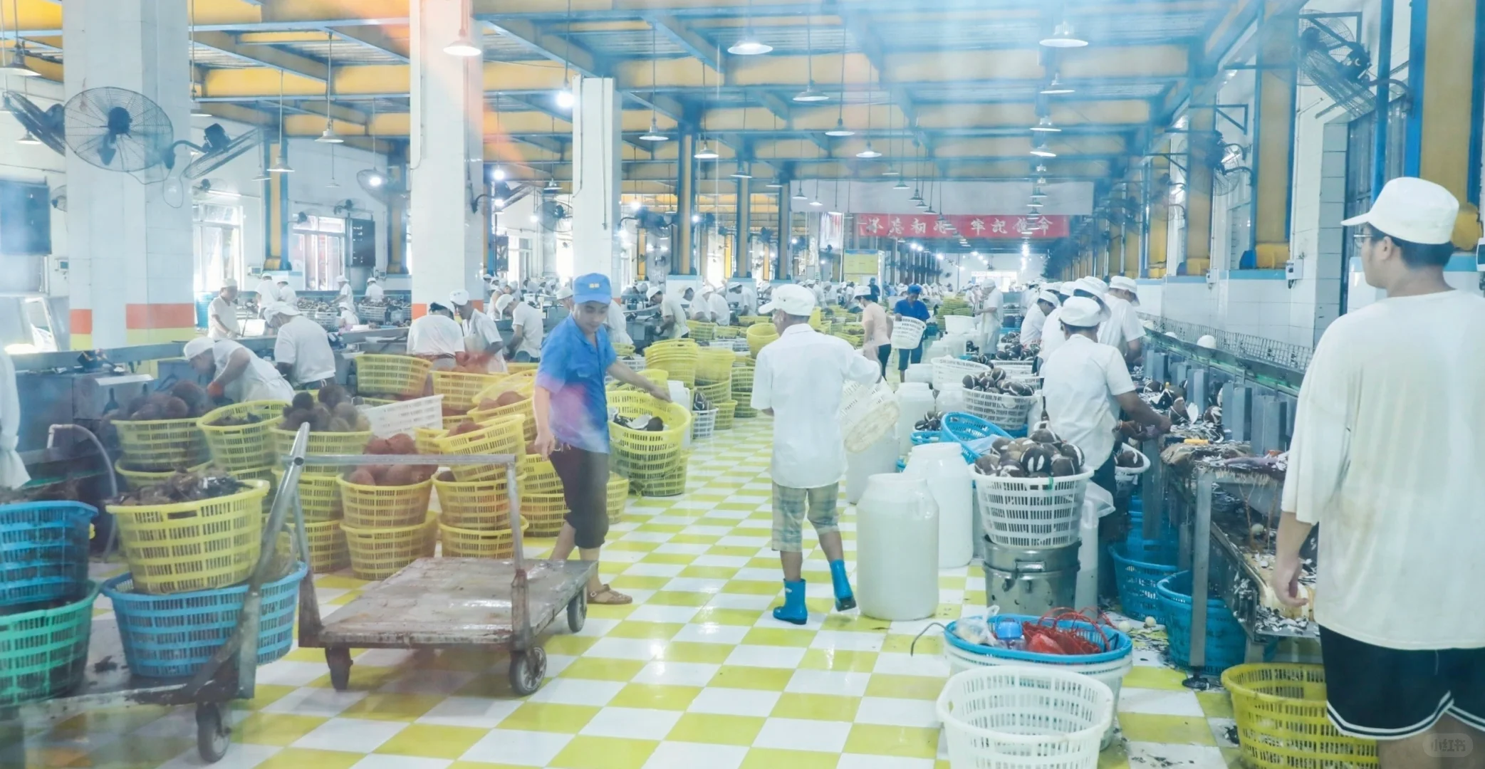 海南椰树原来都生产过这么多产品了呀～