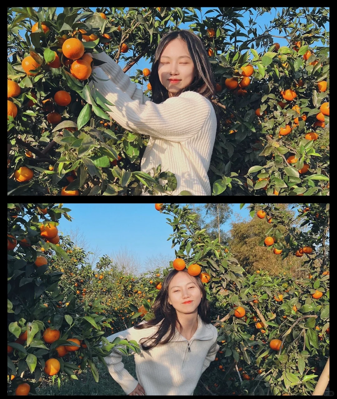 原来助农都是真的…