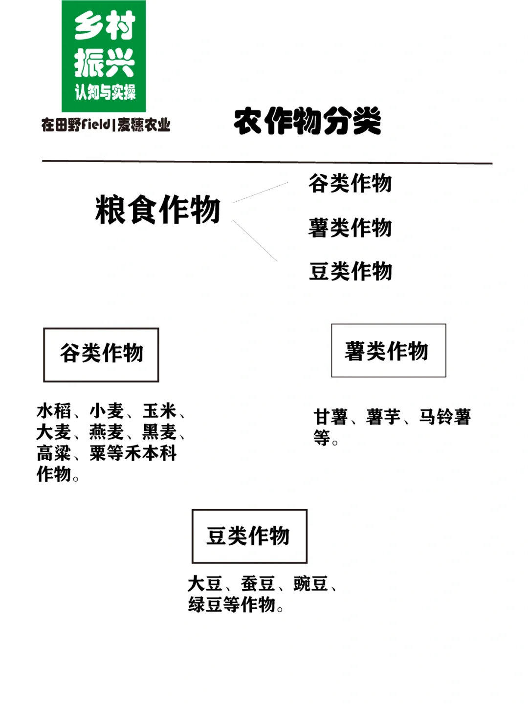 助力乡村振兴｜了解农作物的分类