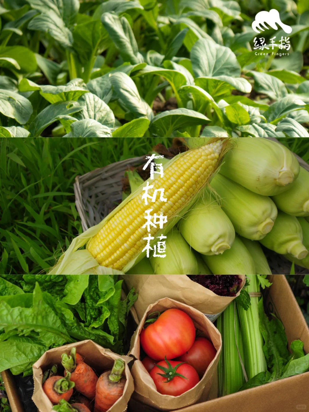 十五年的有机农场是什么样子？