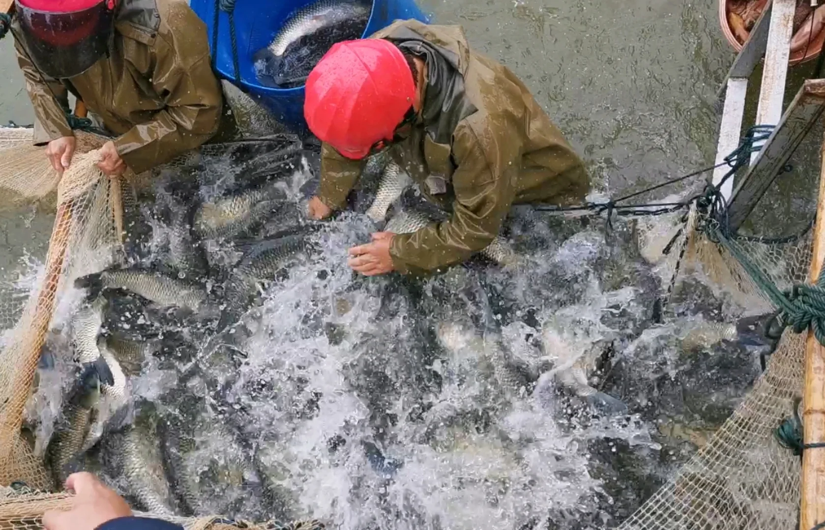 每天认识一家公司——湖南开天农业科技公司