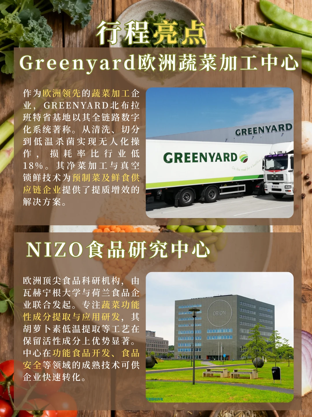 荷兰“食品硅谷”商务考察丨6天5晚