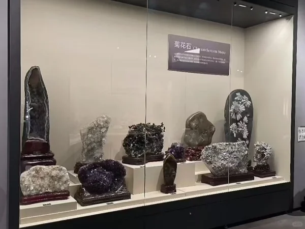 博物馆展柜：文物的守护者与故事的讲述者