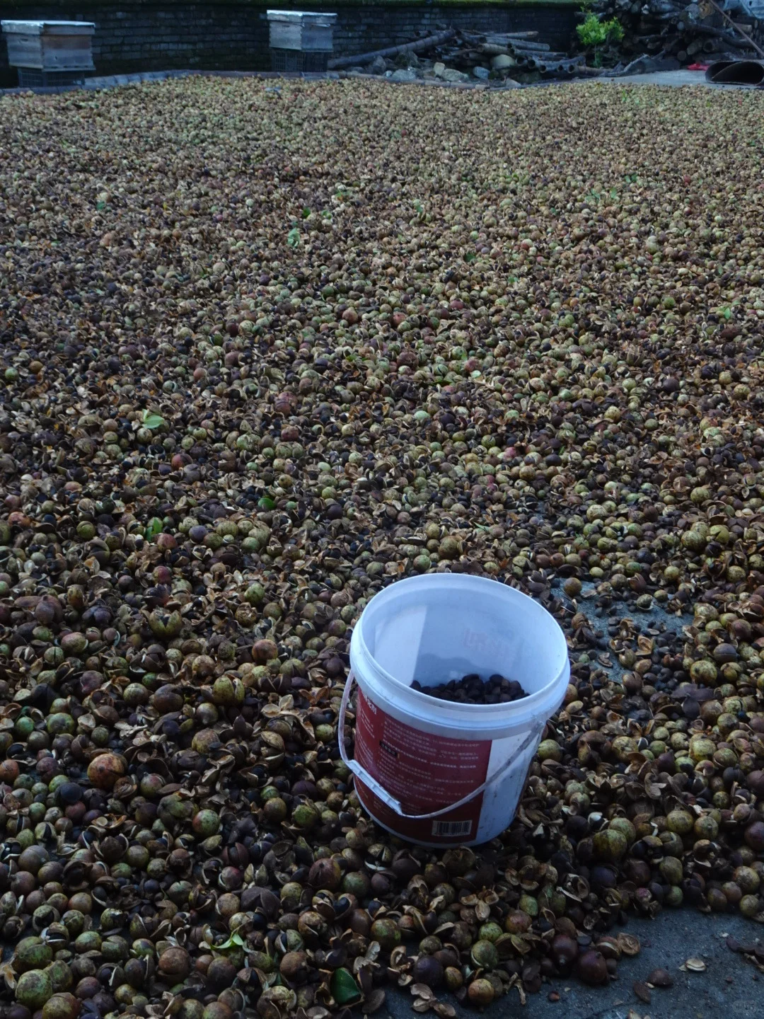 我被返乡务农的少女逗乐了