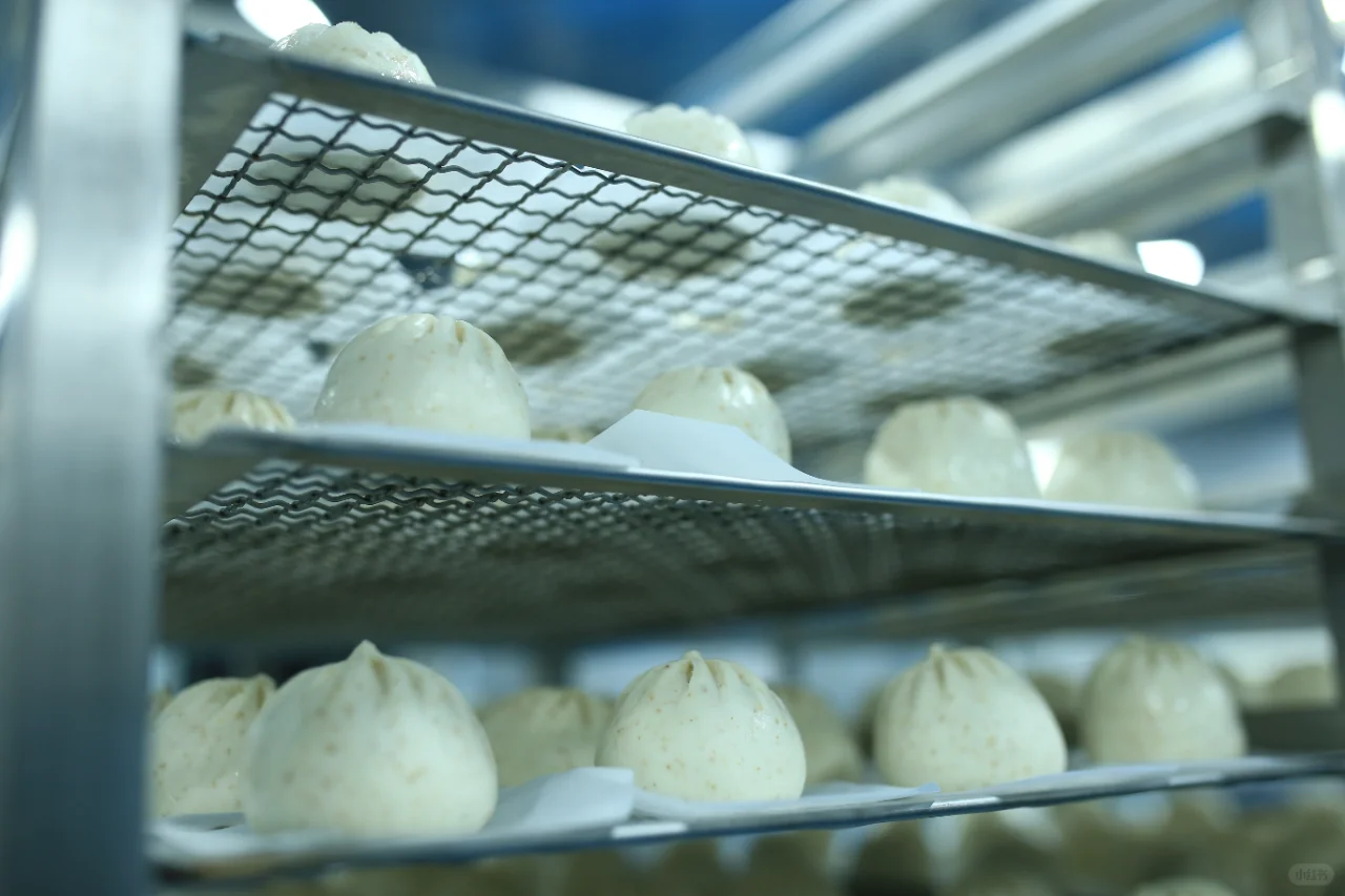 【工厂实拍】敬每一个认真工作的打工人