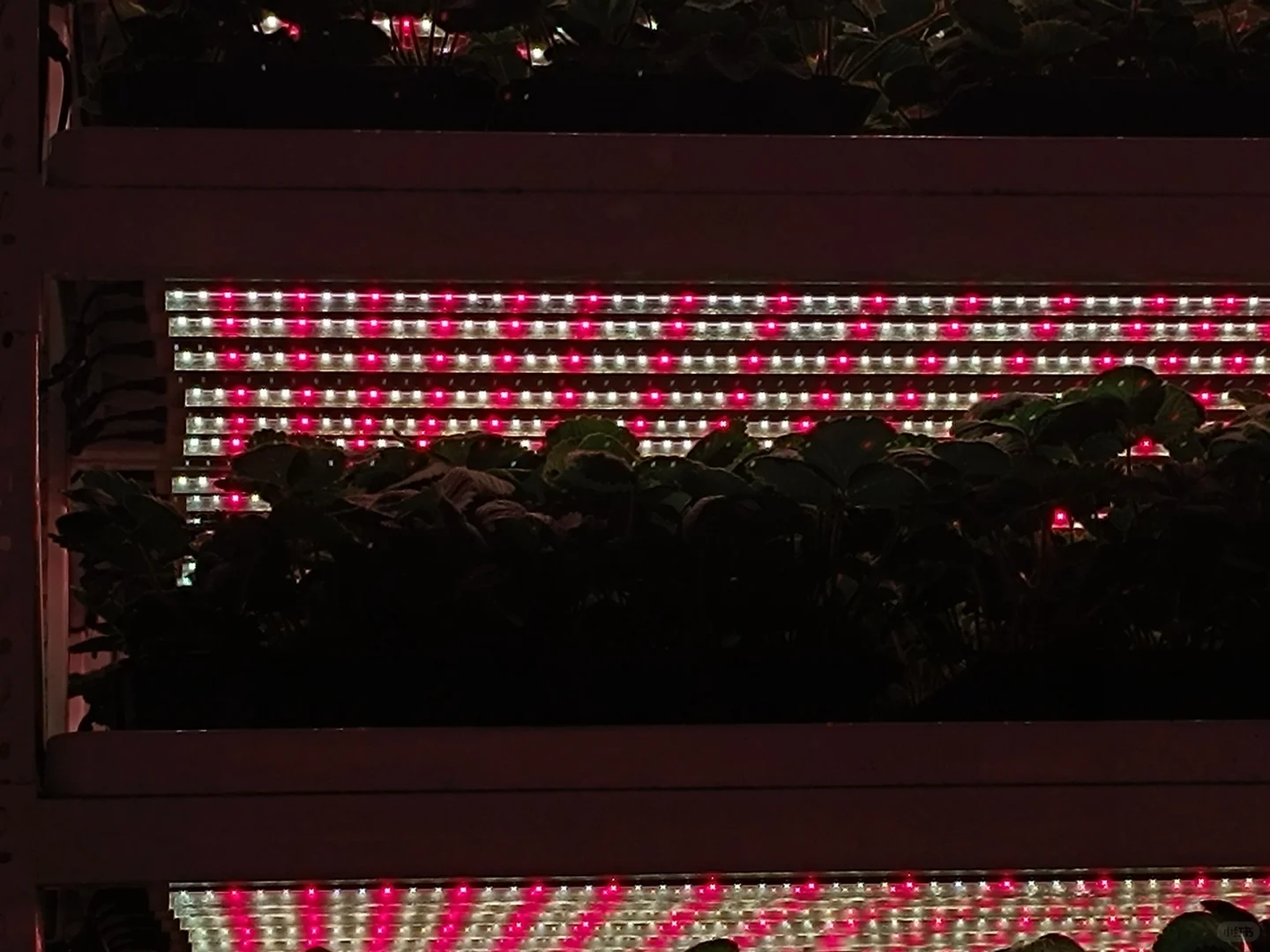 生活中的地理教学素材-四维生态数字农业