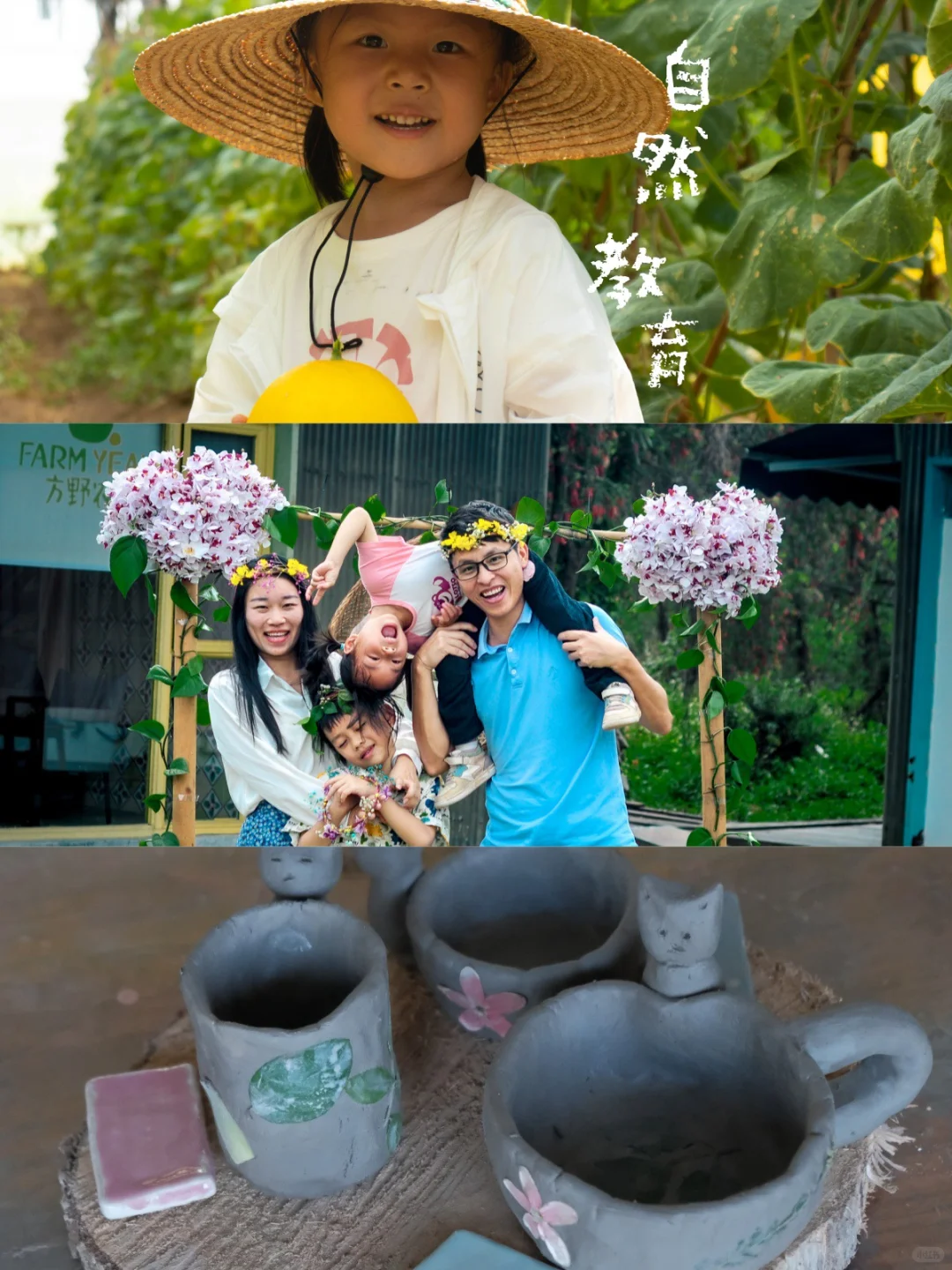 十五年的有机农场是什么样子？