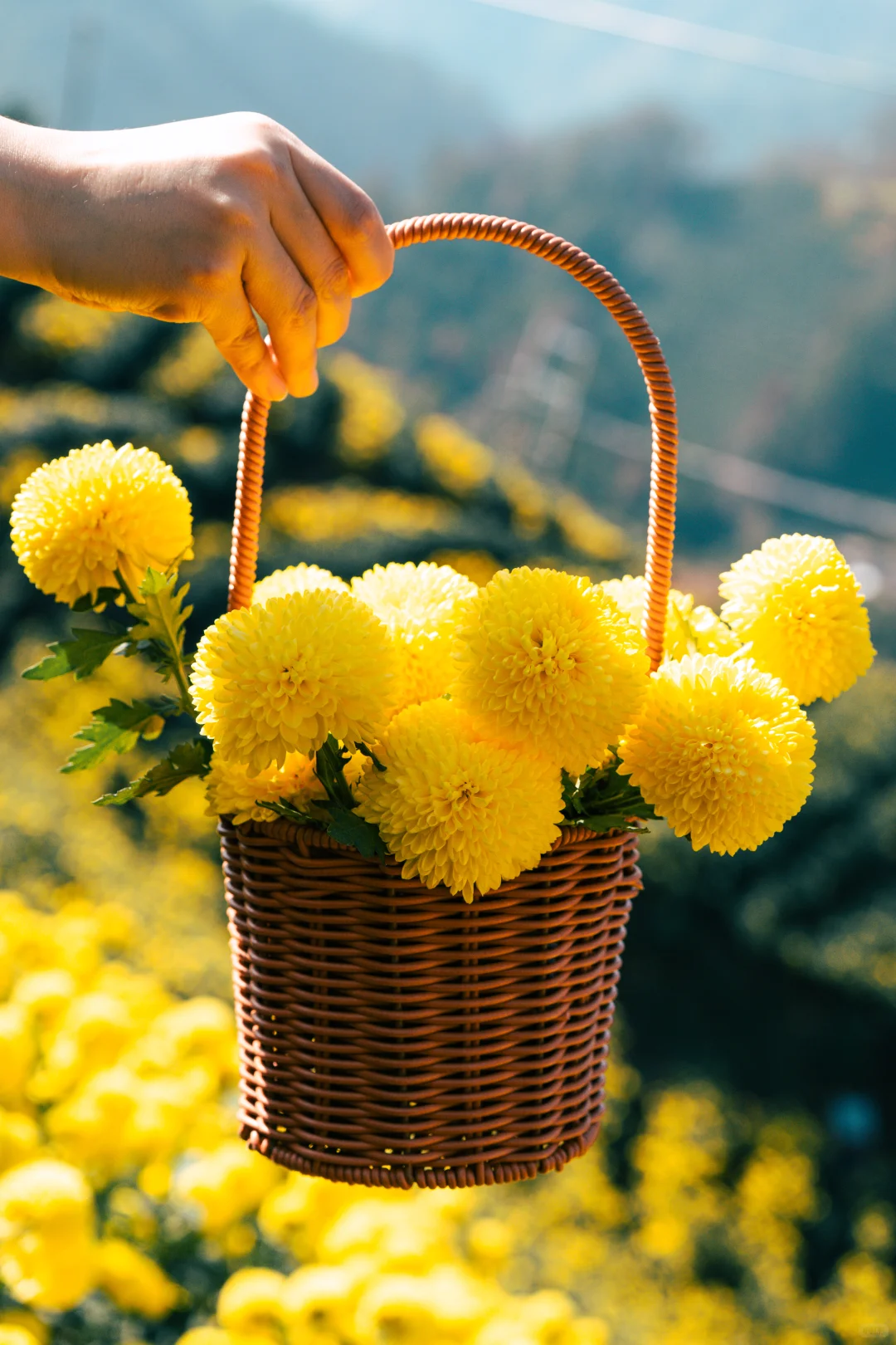 为什么非要去皖南，皖南到底有谁在啊？！