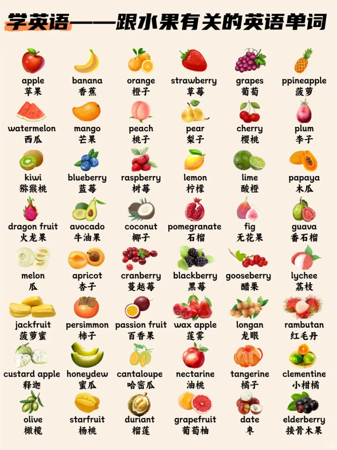 英语天天学——跟水果有关的英语单词