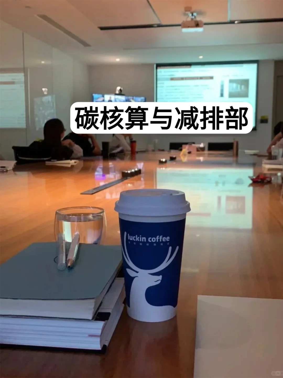 公司来了一个半吊子双碳，基本碳核算都不会