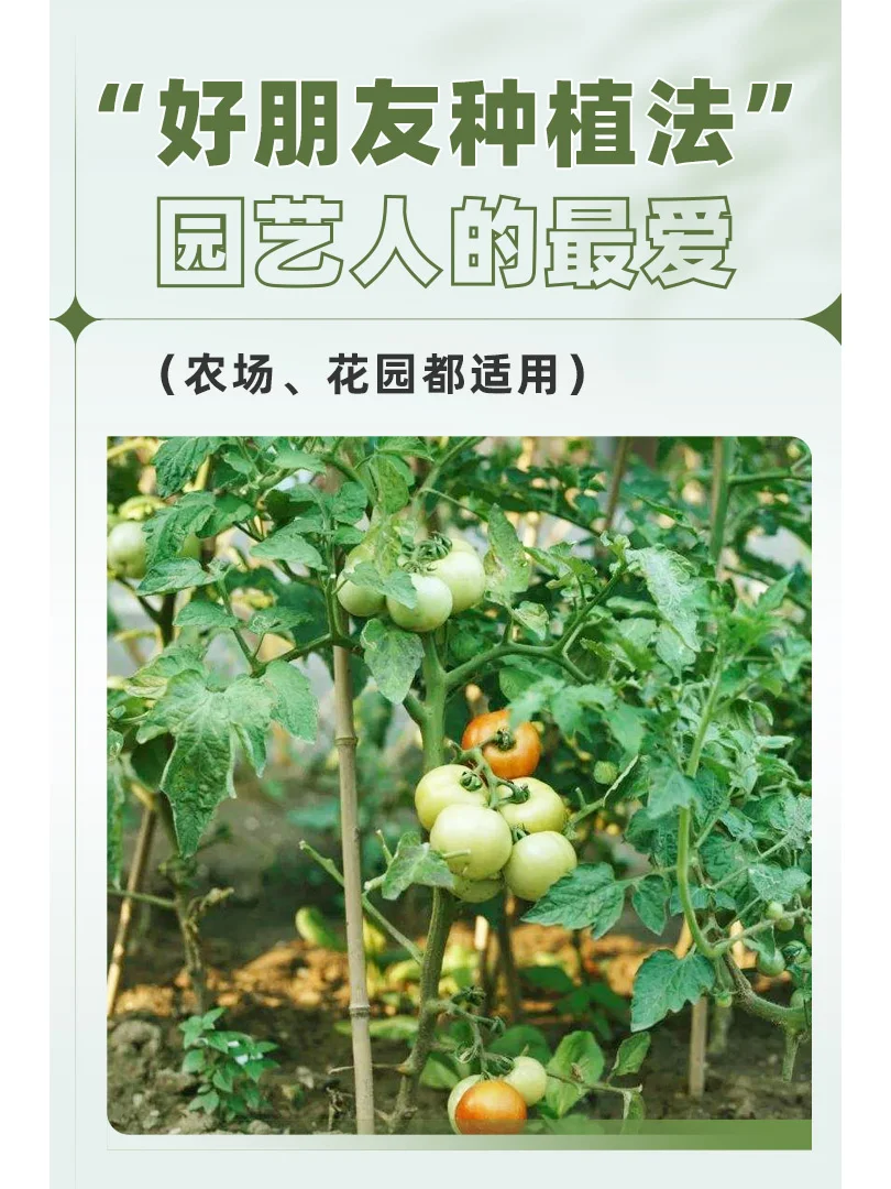 农作物也有朋友圈，好朋友种植法让收入翻倍