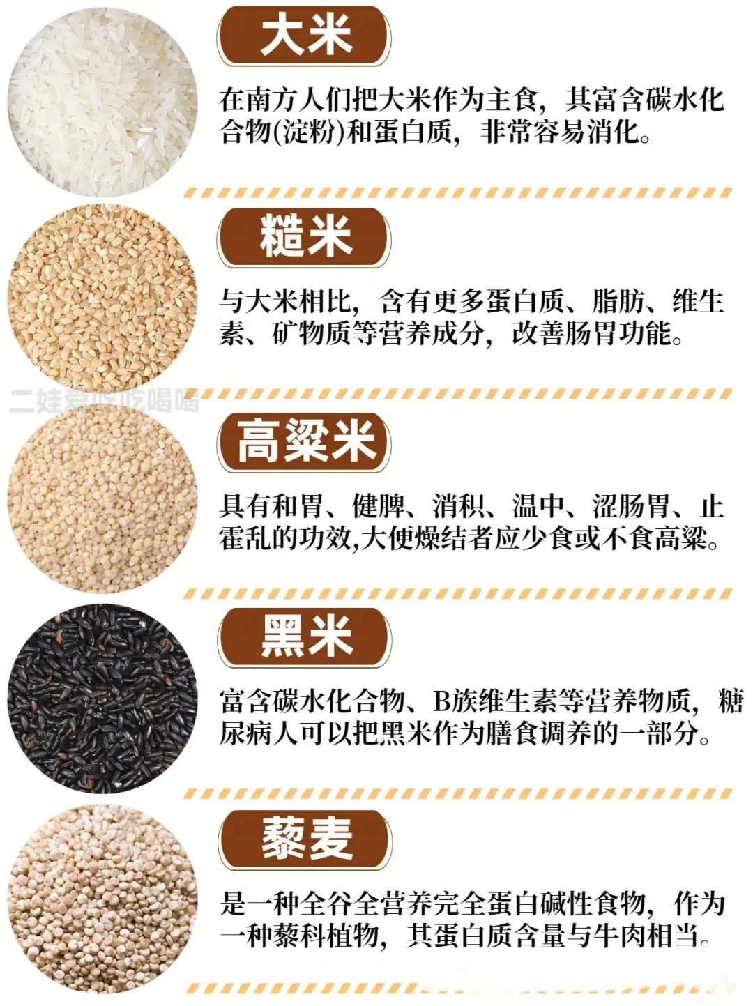 爱吃粗粮 养生 谷物杂粮图鉴?看这篇就够了