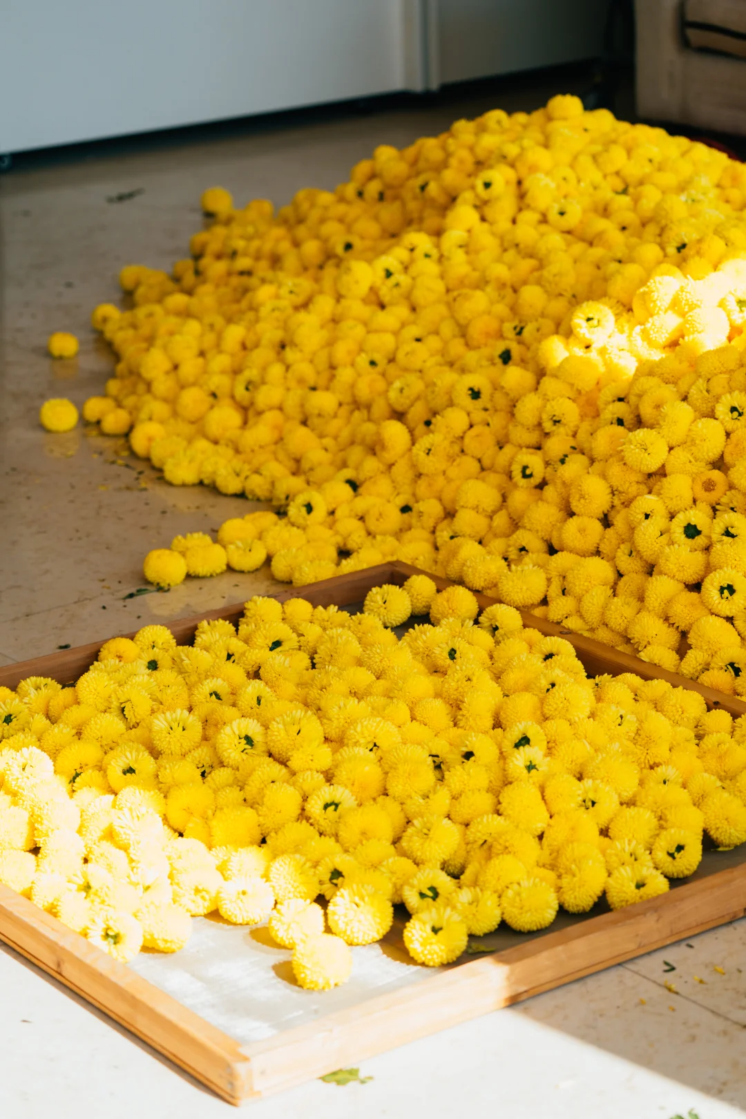 皖南的秋:待到徽州秋尽日，我花开后百花杀