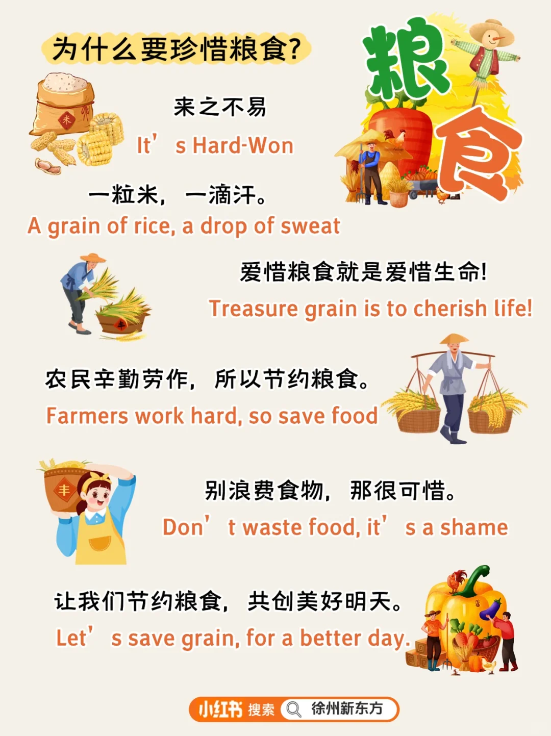 ?粮食|别让 “粒粒皆辛苦” 只停在课本